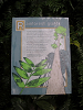 s_A_PICT0155_thumb.png